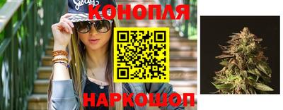 гидра Берёзовский