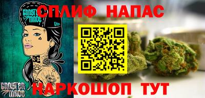 гидра Берёзовский