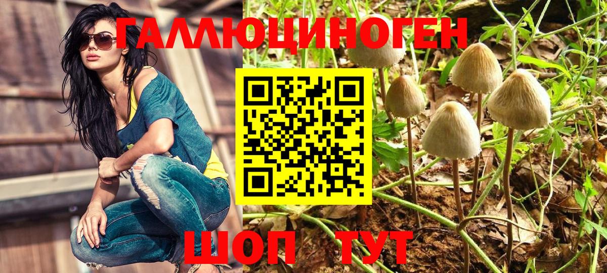 Камышин  Галлюциногенные грибы ЛСД  Вход с VPN 